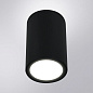 Уличный потолочный светильник Arte Lamp TORCULAR A1307PF-1BK — фото 1
