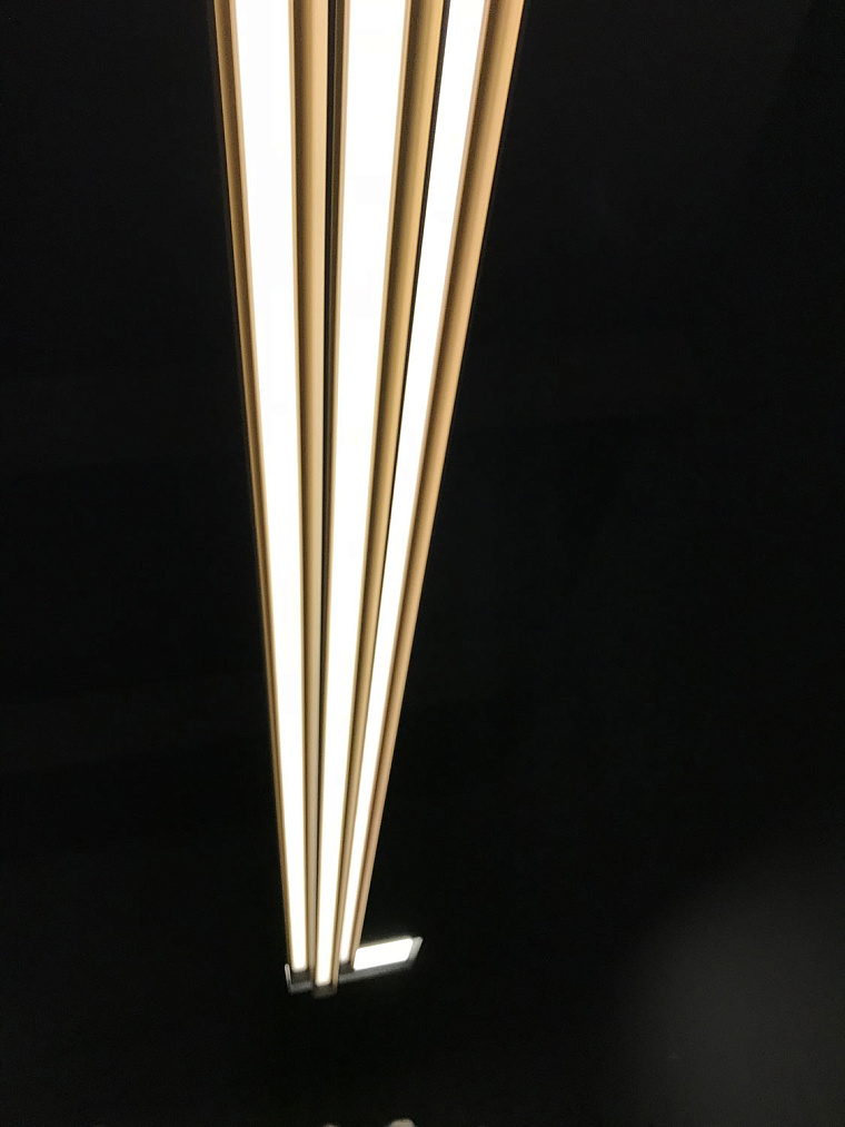Maxima studio на празднике DELTA LIGHT — фото 65