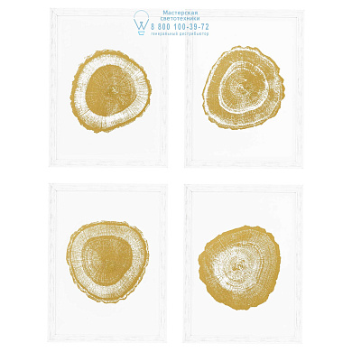 110875 Prints EC257 Gold Foil: Tree Rings set of 4 Eichholtz