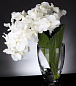 ORCHID PALMITOS Искусственное растение VGnewtrend — фото 2