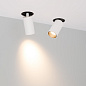 049909 Arlight Светильник SP-NUANCE-TRIMLESS-PULL-R35-7W Warm3000 (WH, 36 deg, 230V) — фото 2