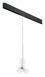 PRORP436436 Lightstar Rullo подвесной светильник с прозрачным плафоном янтарного оттенка для однофазного трека
