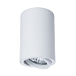 A1560PL-1WH Arte Lamp  точечный накладной светильник GU10 1х50W — фото 2