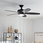52" Renew Designer Fan Satin Black люстра-вентилятор 330163SBK Kichler — фото 2