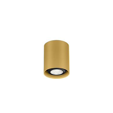 Потолочный светильник RAY mini 1.0 PAR16 Wever & Ducre
