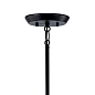 Armstrong 10 Light Chandelier Black люстра 43119BK Kichler — фото 5