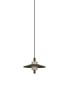 Pendant lamp THESEE S graphite