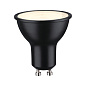 29166 Paulmann LED Reflector 750 лм 8 Вт 2700 К с регулировкой яркости Черный матовый — фото 5