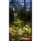 LD1083R3 Zafferano Аккумуляторный светильник SISTER LIGHT IP65, медный, анодированный, с регулировкой яркости — фото 2