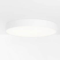 Flat Moon Surface 950 1x LED DALI/Push-Dim DI