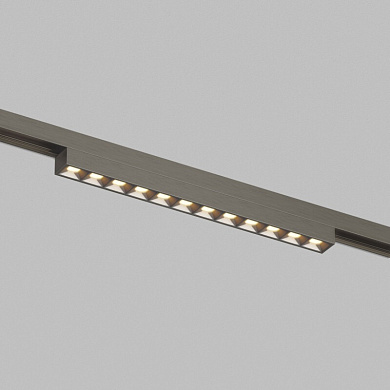 Трековый светильник Denkirs Shine DK5971-DN
