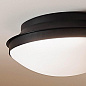 Bretta 17.75" 3 Light Flush Mount Black потолочный светильник 52545BK Kichler — фото 1