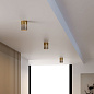 Потолочный светильник Lumen Elektrostandard a064708 — фото 1