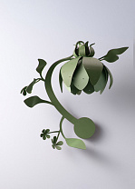 Aloe with Peppermint (Right Version Pictured)