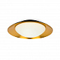 62147 SIDE LED Black/copper потолочный светильник 20W Faro barcelona