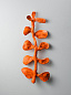 Настенный светильник Fleur Porta Romana TWL162 — фото 3