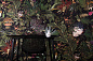 Menagerie of Extinct Animals Wallcovering обои Moooi — фото 2