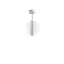 Papylia CZ022CWDMDI