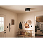 Serca 14.25" 2 Light Flush Mount Black потолочный светильник 52540BK Kichler — фото 3