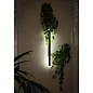 A5424AL-1BK Arte Lamp Tejat фасадный светильник LED 1х24W 1200Lm 4000K — фото 2
