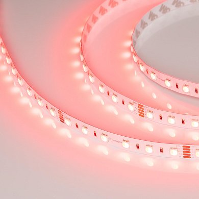 019096(2) Arlight Лента RT-B60-12mm 24V RGBW-White-4-in-1 (19.2 W/m, IP20, 5060, 5m)