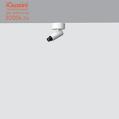 QI42 Palco Recessed iGuzzini Palco Framer Ø19 spotlight - surface - remote driver