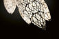ARABESQUE LIGHTFALL SENSATION X 7 подвесной светильник, VGnewtrend — фото 1