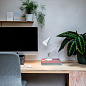 33303 Anglepoise настольная лампа — фото 7