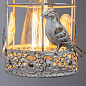 A5090AP-1WG Arte Lamp Cincia бра E27 1х40W 450Lm — фото 2