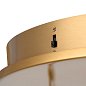 Подвесной светильник Odeon Light PARMA 6672/30L — фото 4