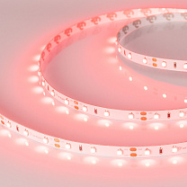 RT-A60-8mm 12V Red (4.8 W/m, IP20, 2835, 5m)
