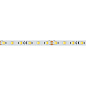 025214 Arlight Лента RT 6-5000 24V White-MIX-One 2x (5060, 60 LED/m, LUX) — фото 1