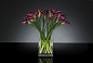 ETERNITY RUBBER CALLA Цветочная композиция со стеклянной вазой VGnewtrend