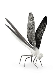 Фарфоровая статуэтка стрекозы Dragonfly Lladro, белая матовая 01009480