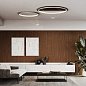 Потолочный светильник Italamp Loop 2050/PL125 — фото 2