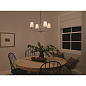 Pallas 25" 4 Light Chandelier Polished Nickel люстра 52520PN Kichler — фото 4