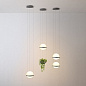 22.93727 подвесной светильник Imperiumloft Palma wall lamp