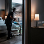 FN221022_64 Foscarini Birdie Easy TL настольная лампа с цветным металлическим корпусом красный кирпичный — фото 7