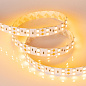 011263 Arlight Лента RT 2-5000 24V Yellow 2x2 (5060, 600 LED, LUX) — фото 3