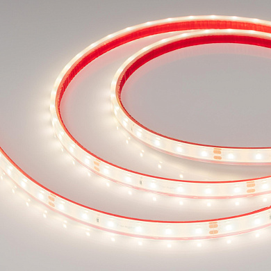 034158 Arlight Лента герметичная RTW-PFS-A60-11mm 24V Day4000 (4.8 W/m, IP68, 2835, 5m)