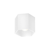 HEXO 1.0 LED, Белый матовый, 2700 K, 8.1 Вт