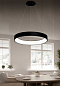ACB Iluminacion Dilga 3450/45 Подвесной светильник Texture Black, LED 1x27W 3000K 2100lm, Integrated LED — фото 2