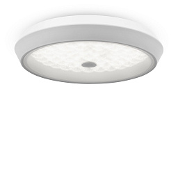 FR10012CL-L24W Freya Cells потолочный светильник круглой формы с матовым рассеивателем белого цвета