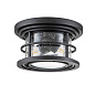Потолочный светильник Lighthouse Feiss FE-LIGHTHOUSE-F-BLK текстурированный черный — фото 4