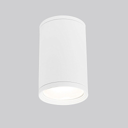 a056333 Elektrostandard Light уличный накладной потолочный светильник цилиндрической формы с матовым рассеивателем