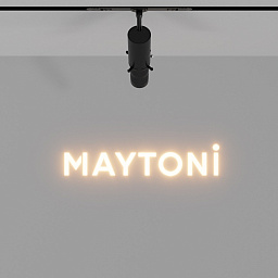 Фильтр для светильников Гала / Gala с логотипом клиента Maytoni TRAF108.2