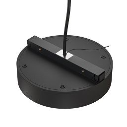TRA172DR-200W-DS-B Maytoni Basity источник питания черного цвета 200W