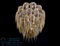 Protea  Люстра Willowlamp C-LANGARM-170-WS-M