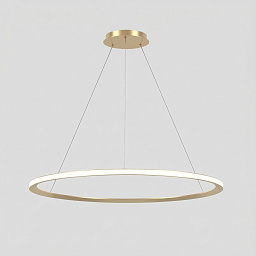 CF4B-00W9AZDUEF Leds C4 Circular подвесной светильник кольцевой формы золотистый