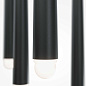 Cascade Maytoni подвесной светильник MOD132PL-L30BK черный